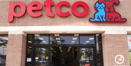 petco-pet-business-sign-illuminated-channel-letters-houston-texas